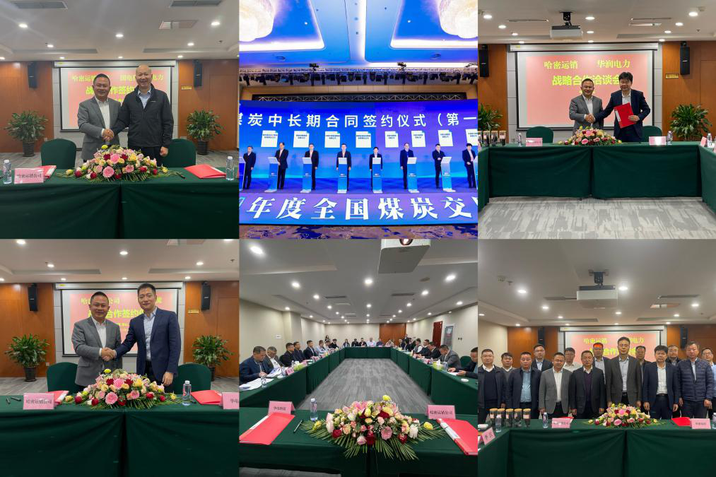 DB真人·(中国区)官方网站